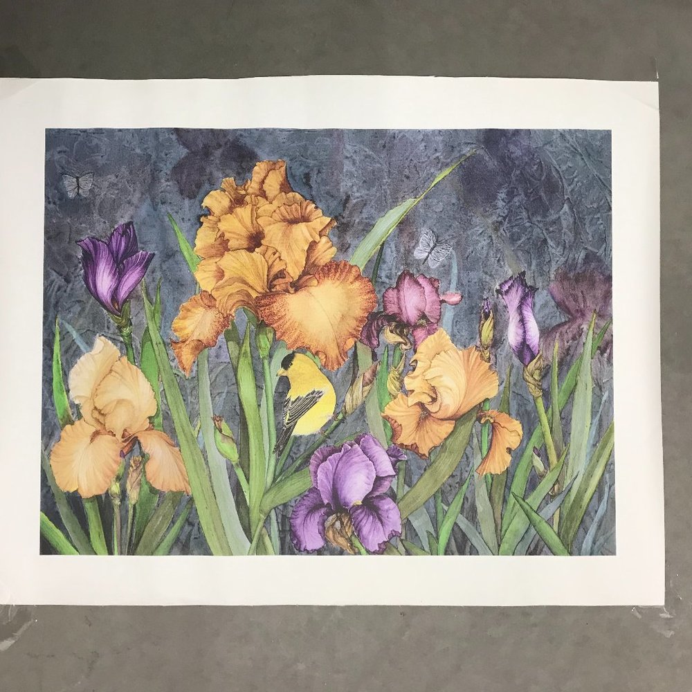 Giclee Print On Canvas 28x22 Lilly Flower Garden Yellow Bird No Signature
